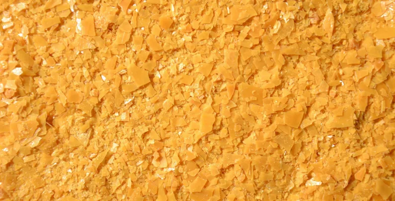 Candles: Part VI – Candle Manufacturing: The Wax Base – Part III: Plant Waxes