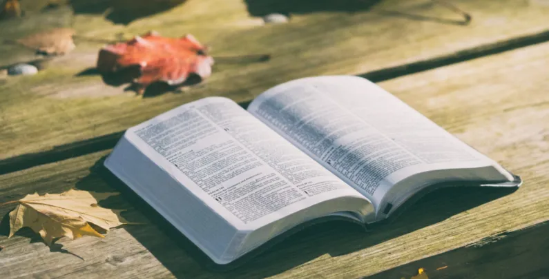 Benefits of Reading